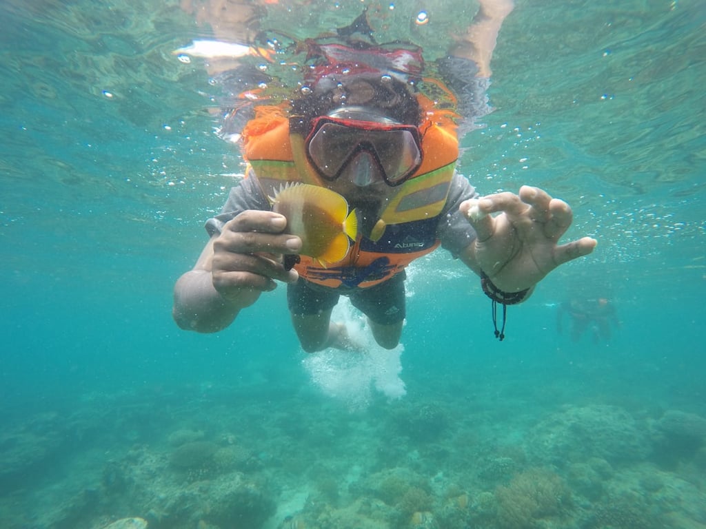 Go Snorkeling