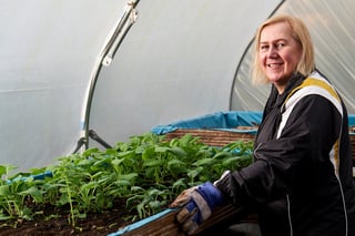 Grow Your Own Vegetables