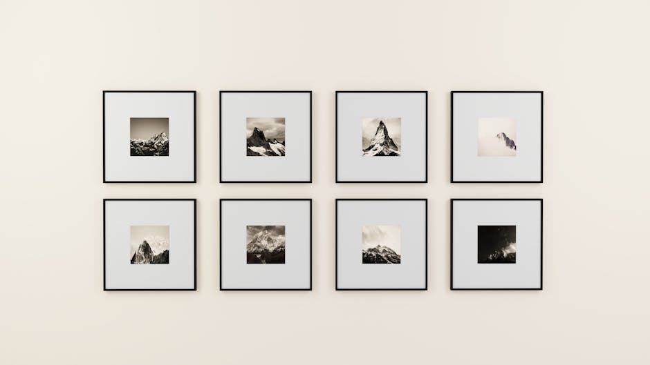 Have Photos Exhibited in Gallery