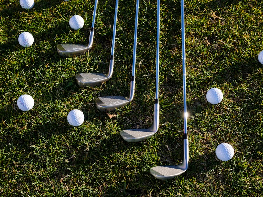 Join a Club or Organization