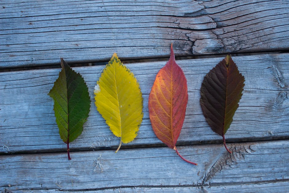 Photograph All Four Seasons