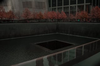 See the 9/11 Memorial