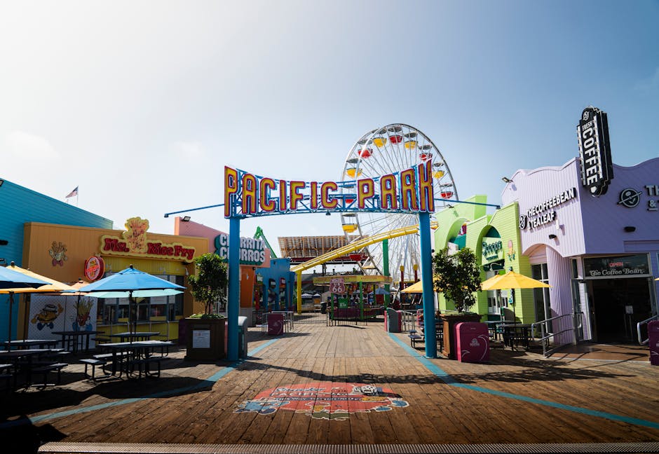 See the Golden Gate Bridge