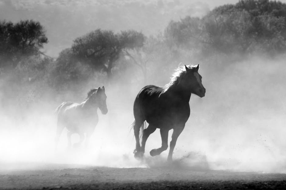 See Wild Horses