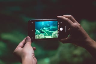 Take Underwater Photos