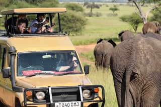 Take Wildlife Photos on Safari