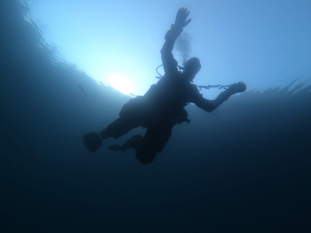 Try Free Diving