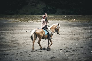 Try Horseback Riding