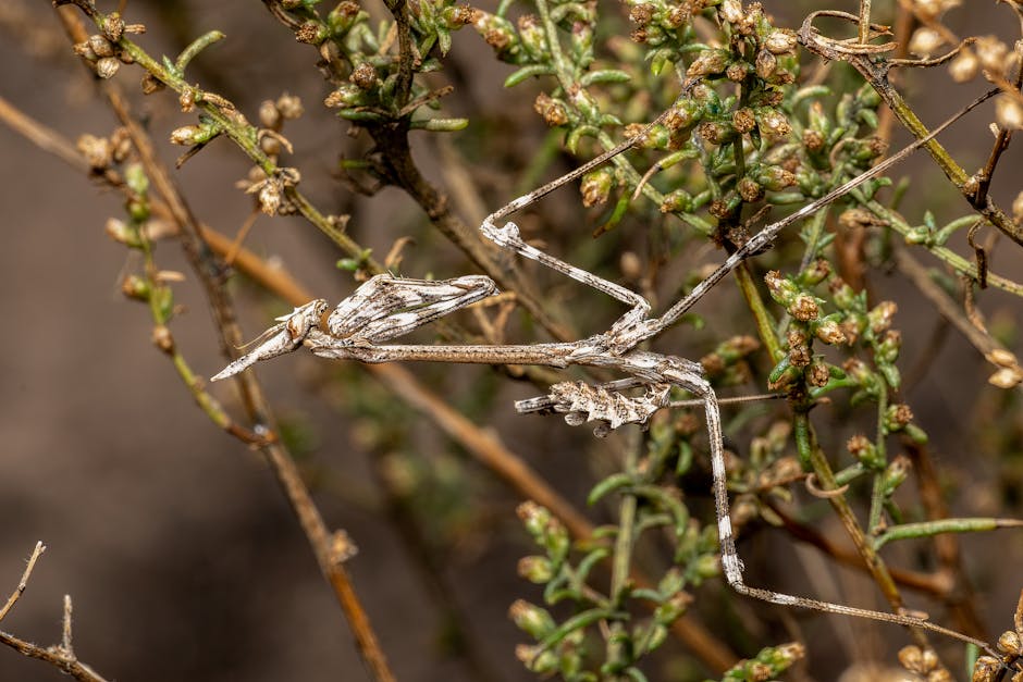 Try Macro Photography