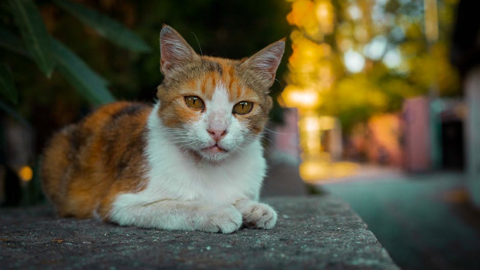 Try Portrait Photography