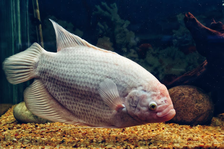 Try Underwater Hockey