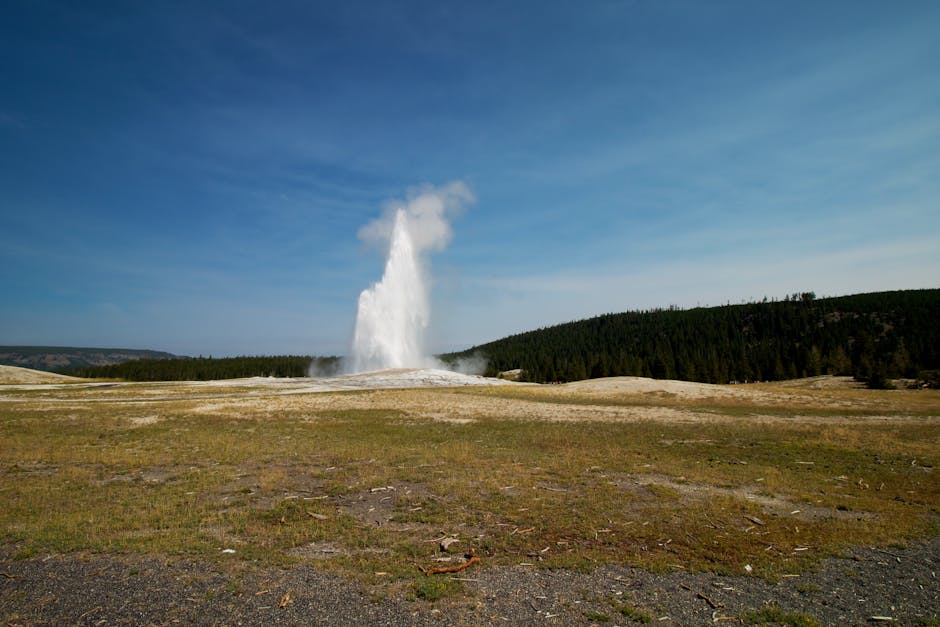 Visit a Geyser Field