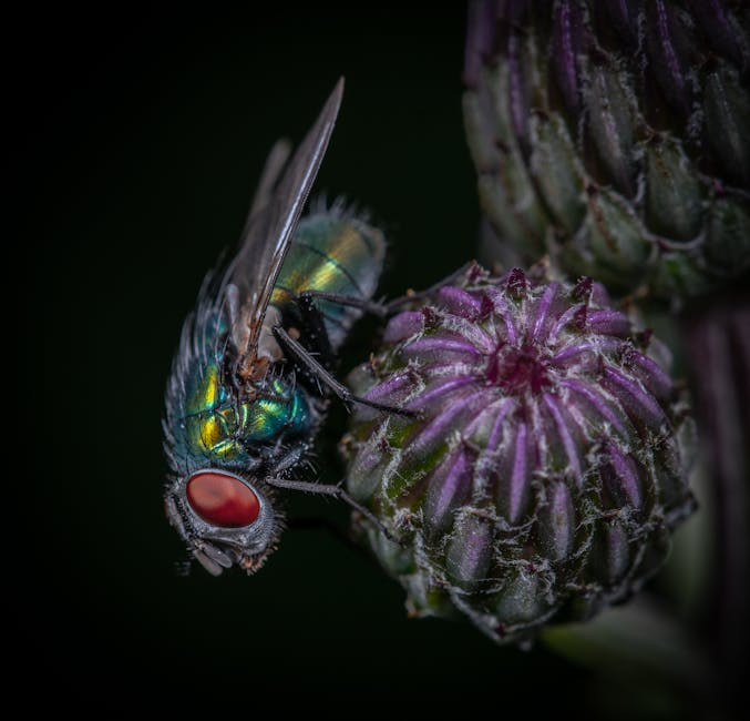 Visit Little Bighorn Battlefield