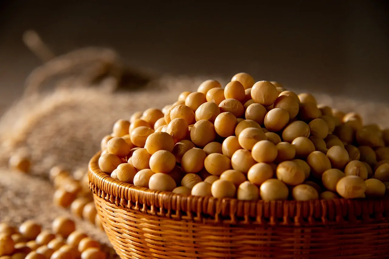 大豆萃取物含有豐富的異黃酮，其中最具代表性的種類，即是金雀異黃酮。它具有植物雌激素的性質，能夠幫助調節荷爾蒙，改善尿失禁或更年期症狀。