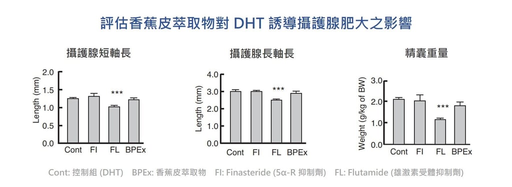 香蕉皮 萃取物對 DHT 誘導 攝護腺 肥大不具有顯著的抑制 功效