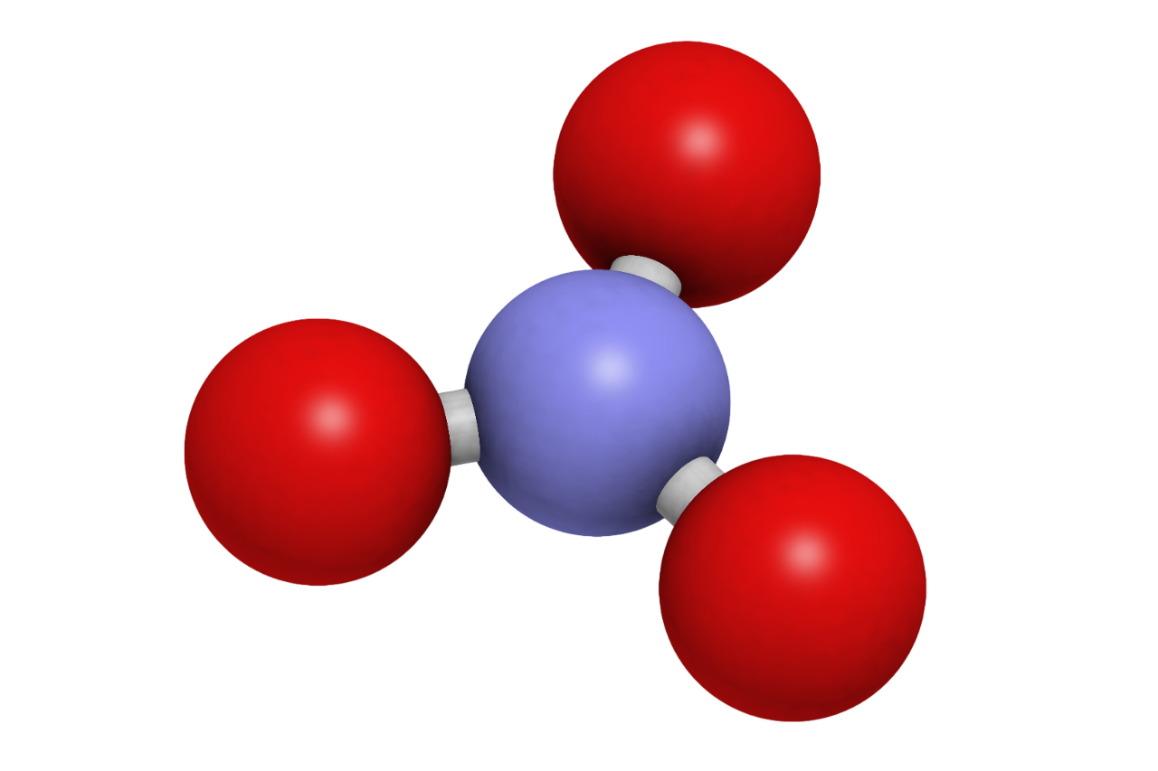 一氧化氮是調節血管內皮功能的重要分子，具有促進血管舒張、降低血壓、增進血液流動與氧氣供應的作用。
