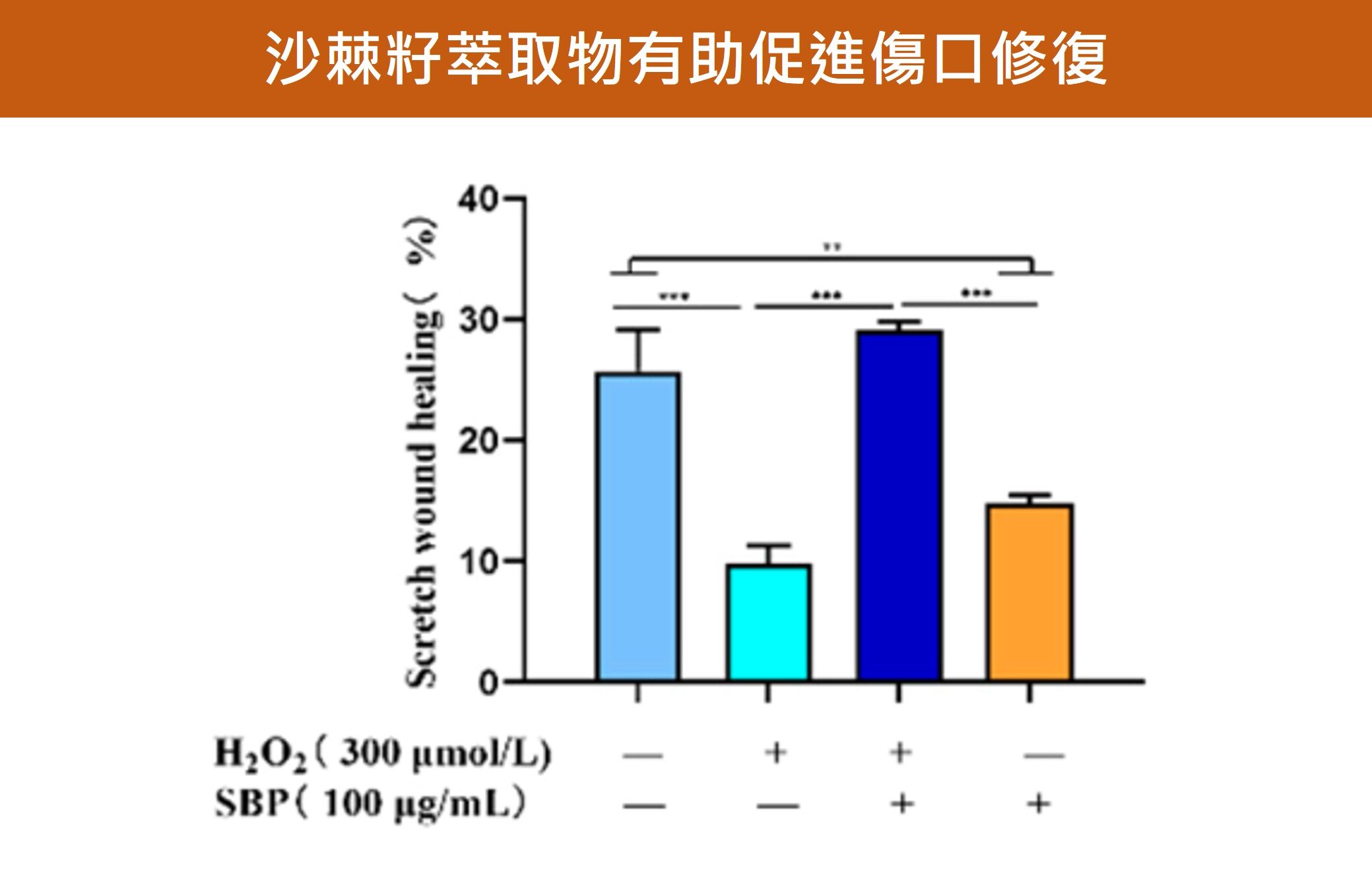 沙棘籽萃取物有助促進傷口修復。