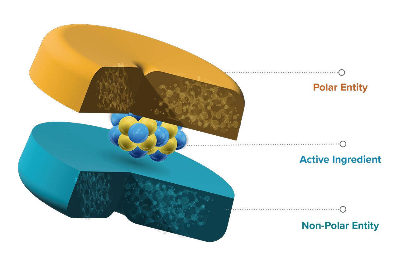 PNS 專利載體技術能有效提升活性物質的生物利用率