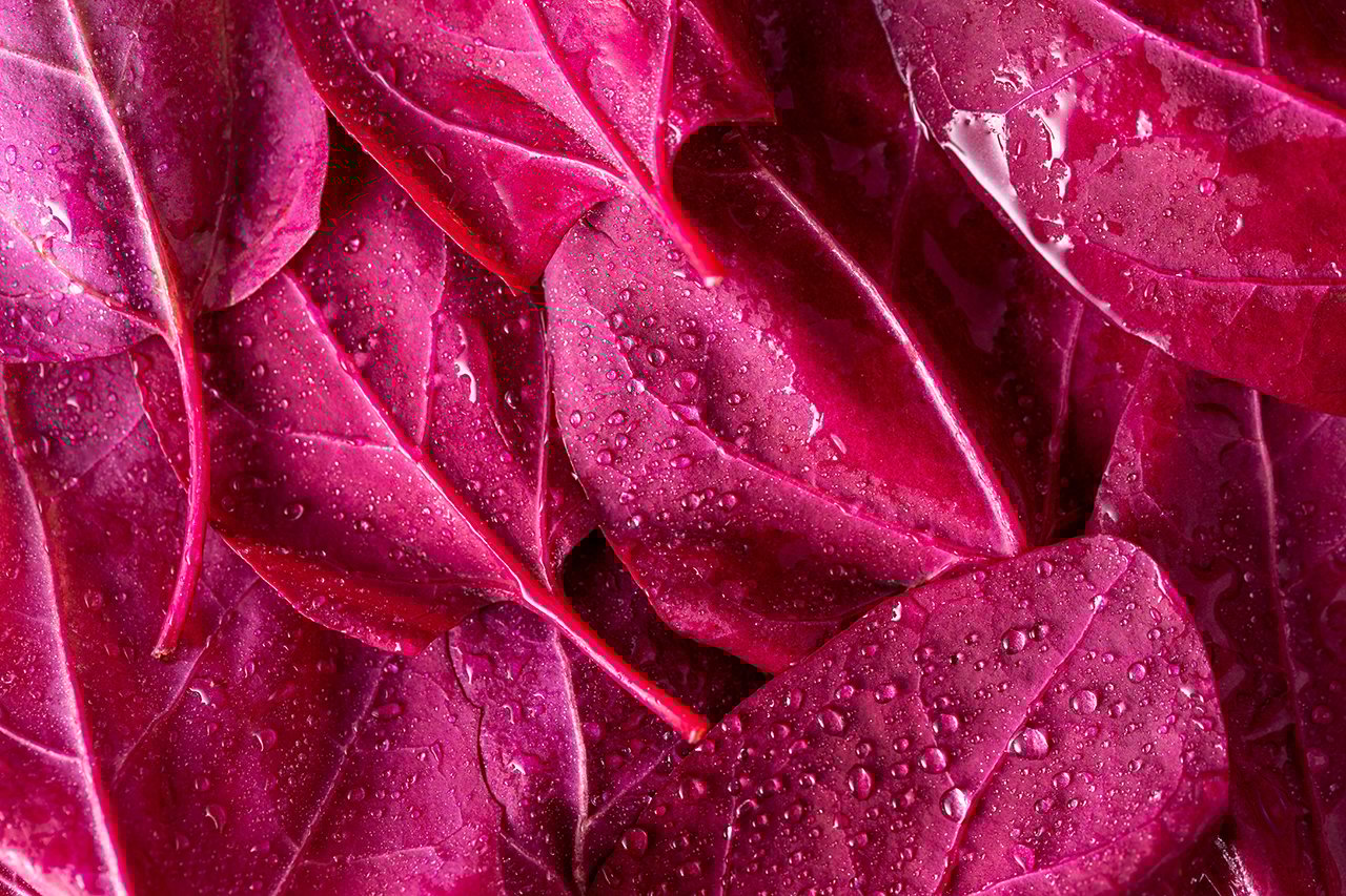 紅莧菜含有豐富的花青素、維生素及礦物質，以及特別豐富的硝酸鹽含量，是一種對心血管十分有益的蔬菜。