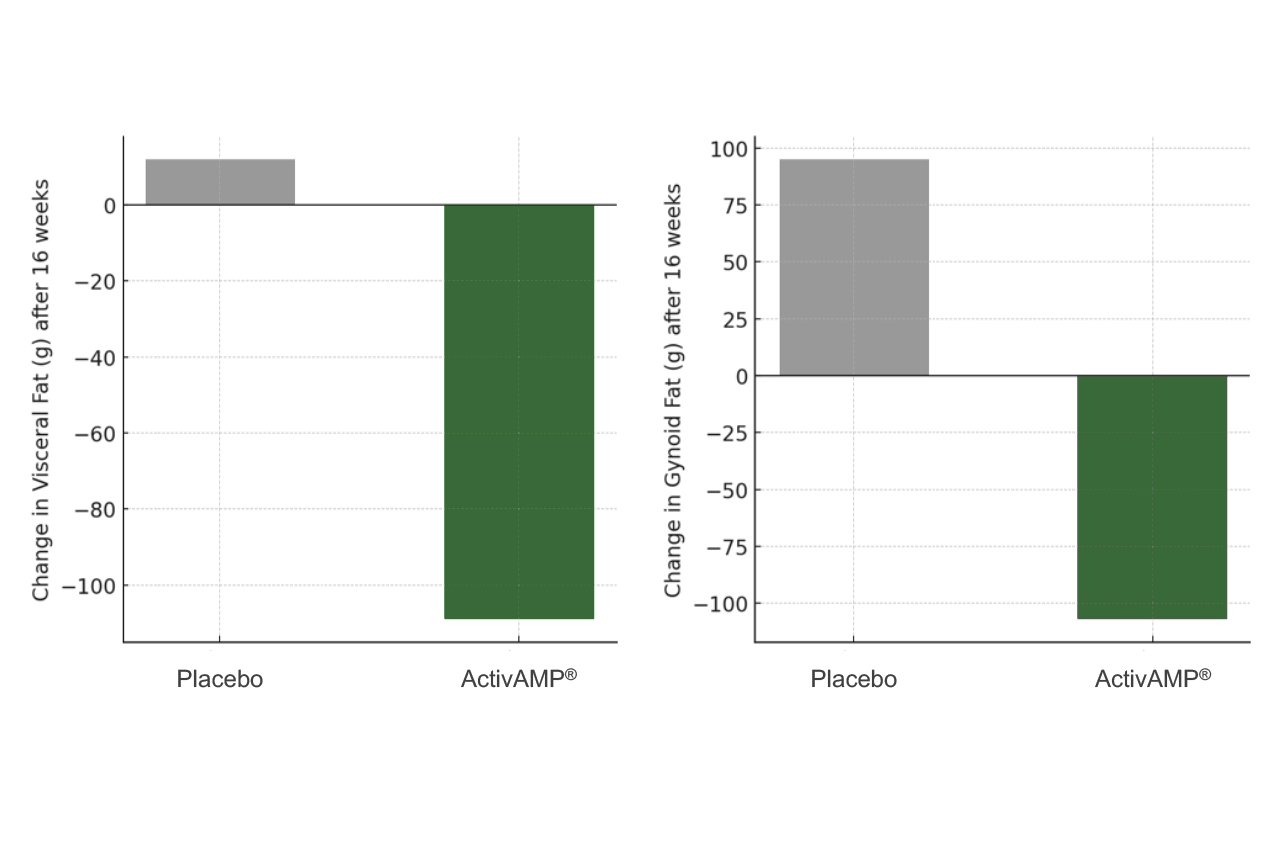 ActivAMP 能夠抑制脂肪堆積，但對男女的效果不同。男性主要顯現在內臟脂肪，而女性則在臀部脂肪。