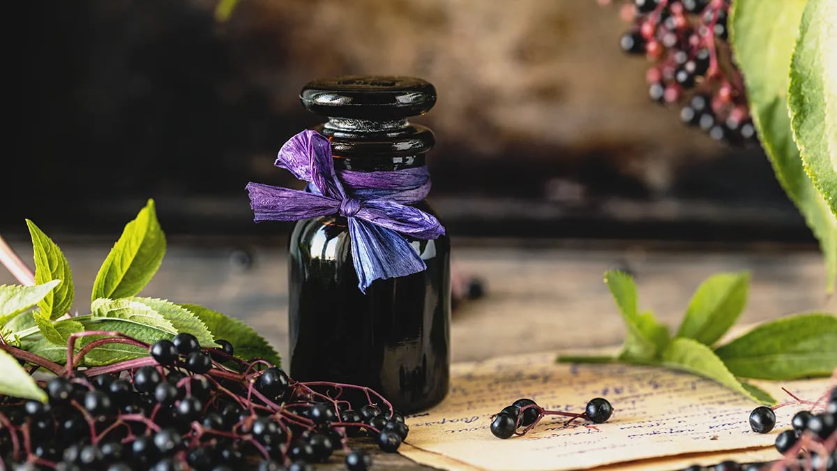 Read more about the article 疫情升溫！德國研究：接骨木莓與奎寧有助協同對抗病毒