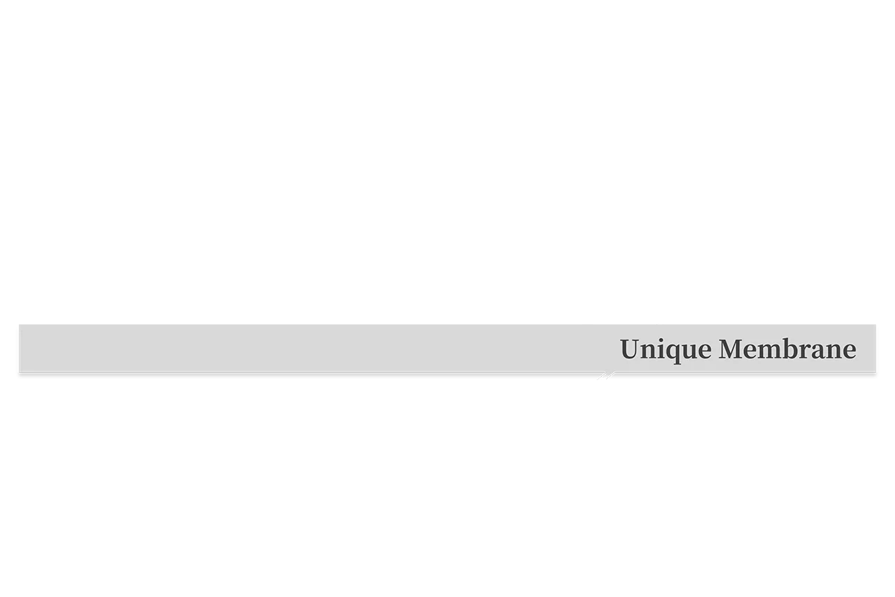 IPT 膜濾淨萃技術是一種物理性萃取法，能夠保留莓果全果的完整營養，而且沒有化學溶劑殘留的疑慮。