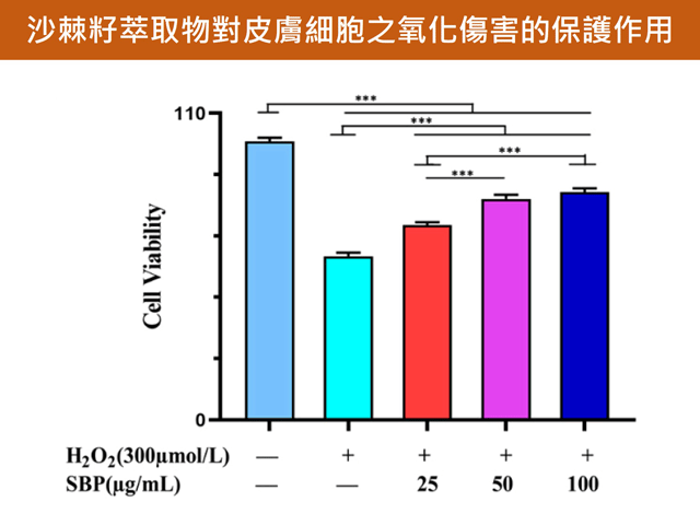 沙棘籽能夠提供強大的抗氧化力，保護皮膚細胞免於氧化損傷。