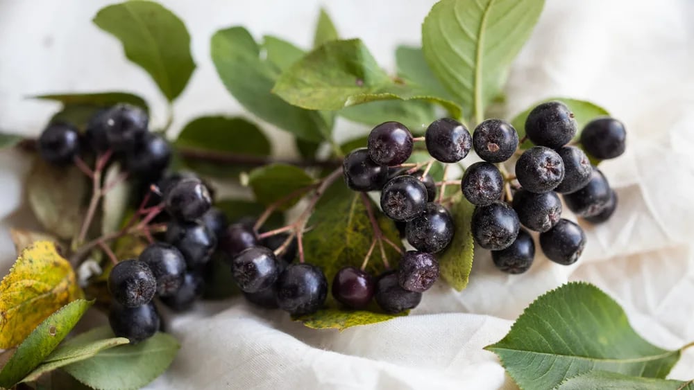 You are currently viewing 降血糖藥副作用？三種幫助控糖的天然莓果