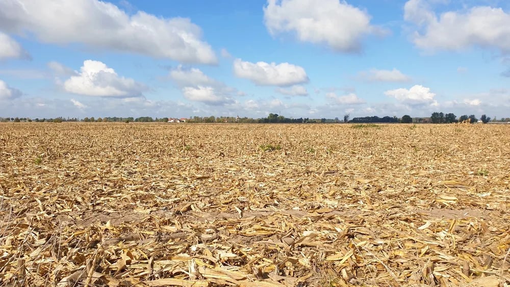 近年受到氣候變遷、地緣政治等因素影響，食品原料的生產與供應皆受到嚴重的衝擊。