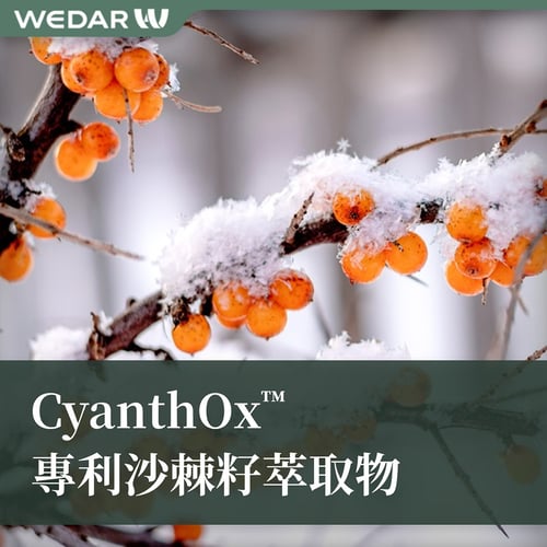 CyanthOx™ 專利沙棘籽萃取物