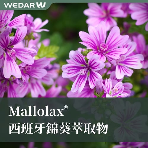 Mallolax® 西班牙錦葵萃取物