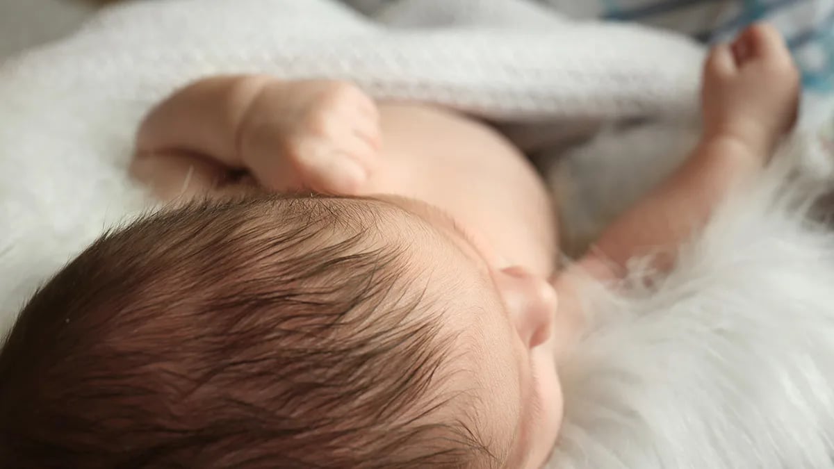 人類頭皮約有 10 萬顆毛囊，其數量受到遺傳因素所影響，但自胎兒時期即已固定，只會減少而不會增加。