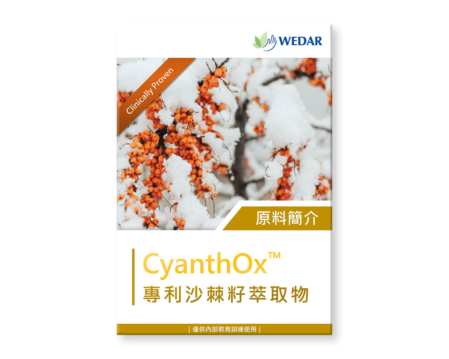 保健食品原料-沙棘籽萃取物-cyanthOx