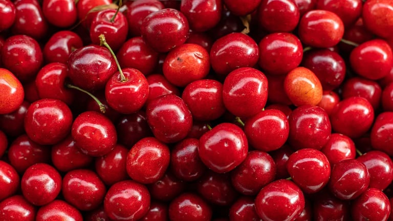 酸櫻桃富含維生素、礦物質、花青素與褪黑激素，具有抗氧化、抗發炎、促進運動修復與幫助入睡等功效。
