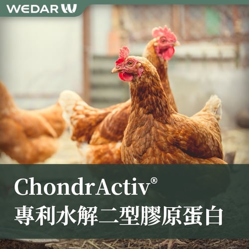 ChondrActiv® 專利水解二型膠原蛋白
