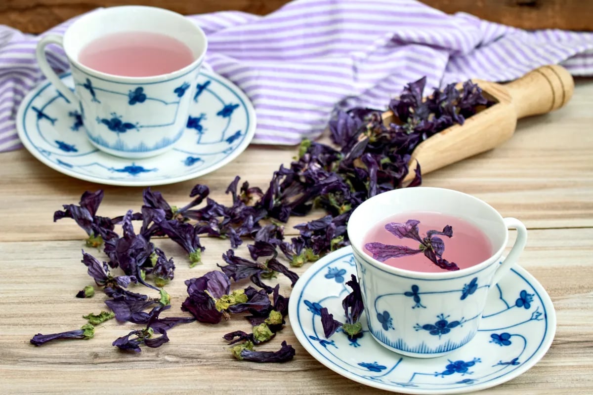 歐錦葵富含獨特的錦葵素，這是一種天然花青素，具有強大的抗氧化、抗發炎活性，能夠幫助平衡腸道的氧化壓力，並維持正常消化道功能。