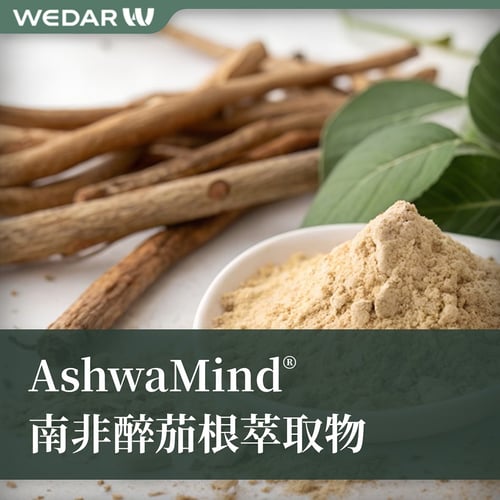 AshwaMind® 南非醉茄萃取物