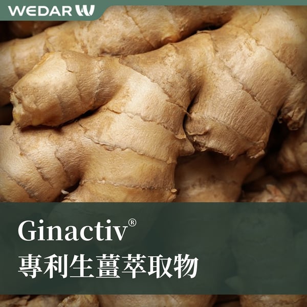 商品示意圖：保健食品原料－Ginactiv 生薑萃取物