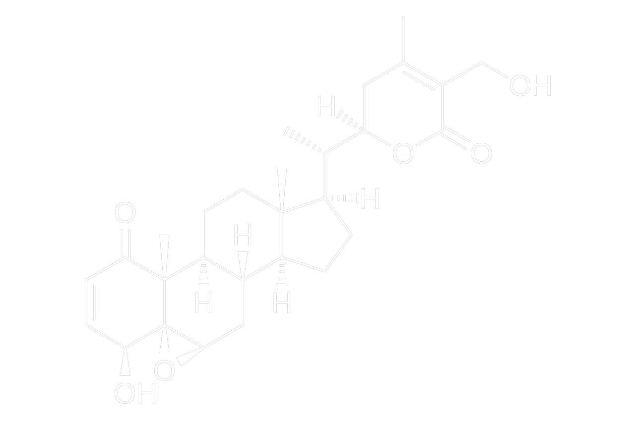 醉茄內酯的分子結構圖。