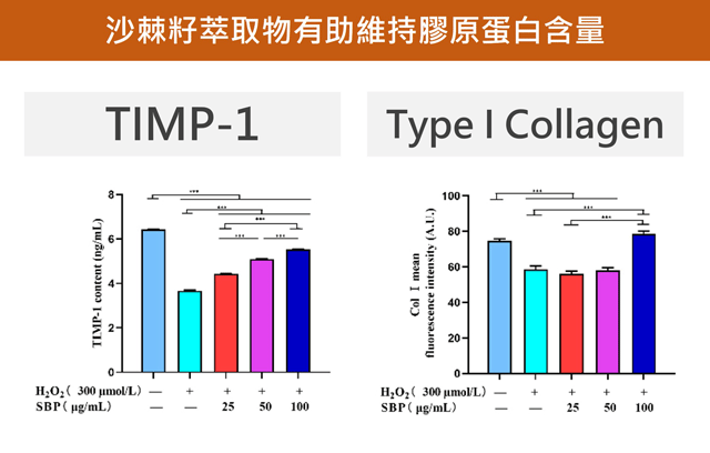 沙棘籽萃取物能夠維持膠原蛋白含量。