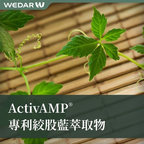 ActivAMP® 專利絞股藍萃取物