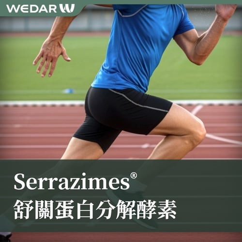 Serrazimes® 舒關蛋白分解酵素