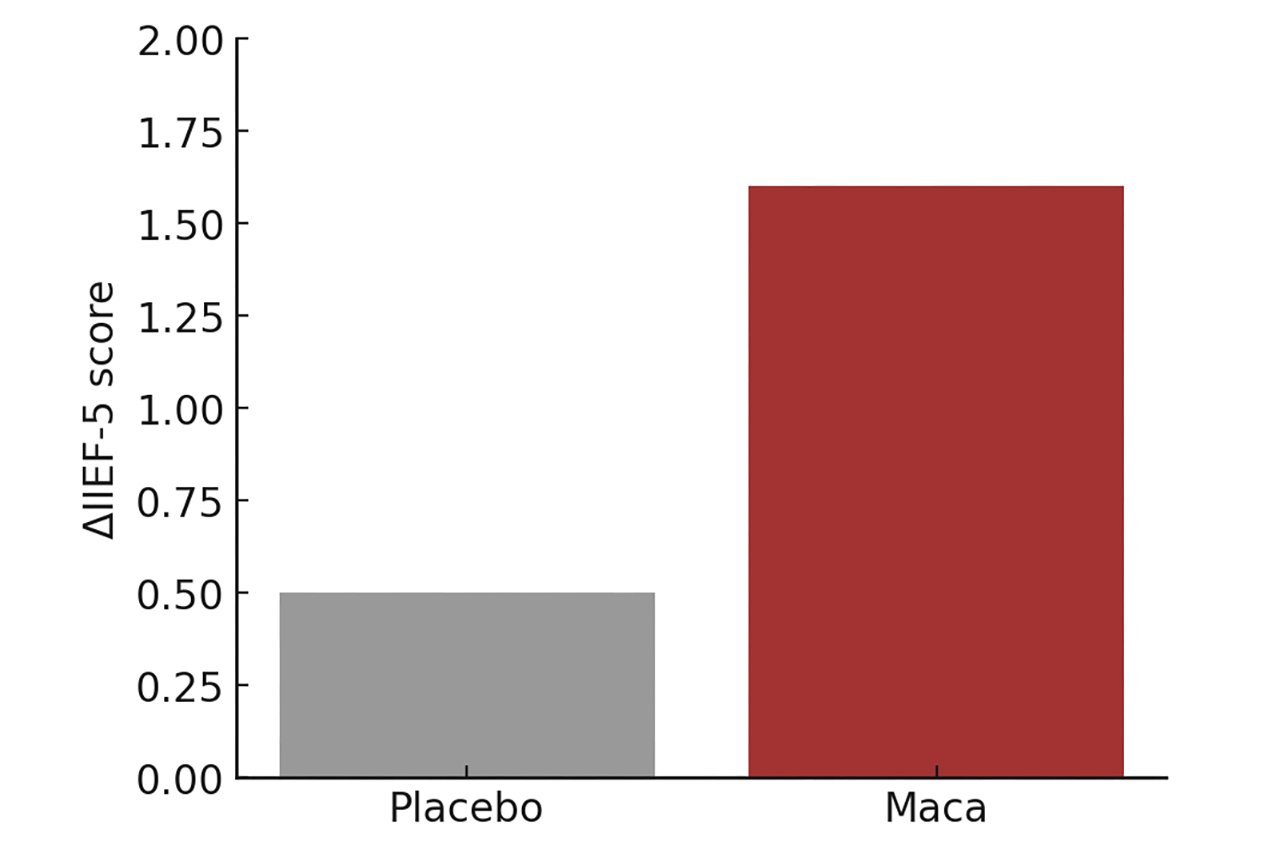 瑪卡能夠改善男性勃起障礙。