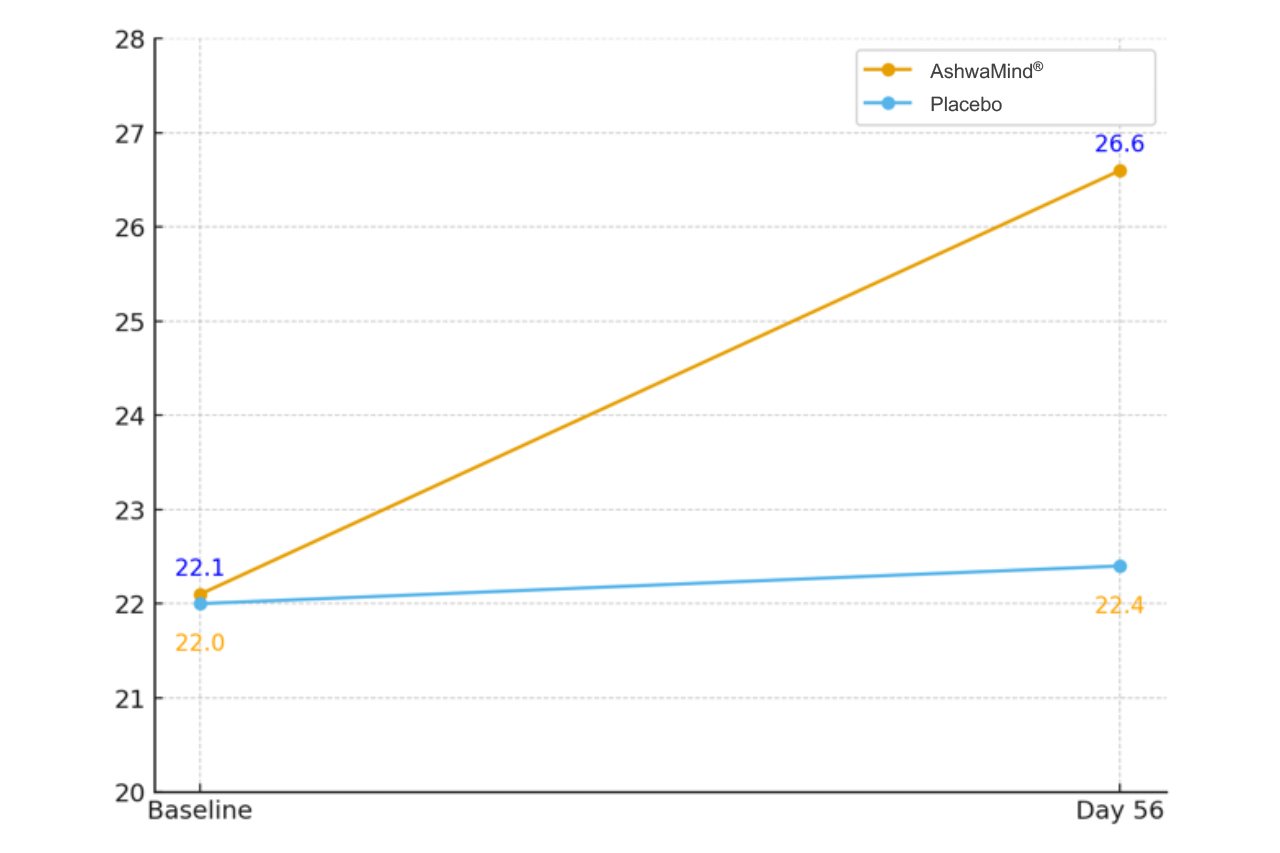 AshwaMind 能夠提升簡易心智量表的評分表現。
