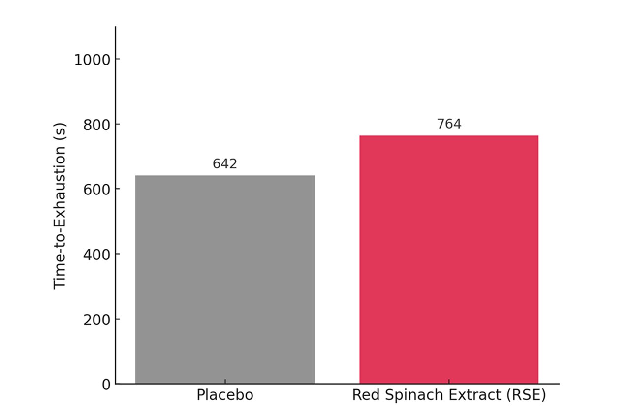 Oxystorm 能夠提升高強度運動下的耐力表現，延長力竭時間達 19%。