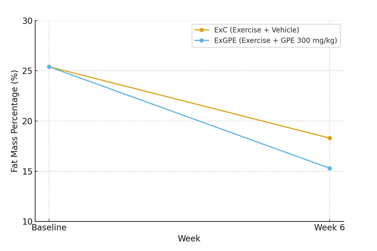 ActivAMP 能夠運動模式下的燃脂效率達 3%。