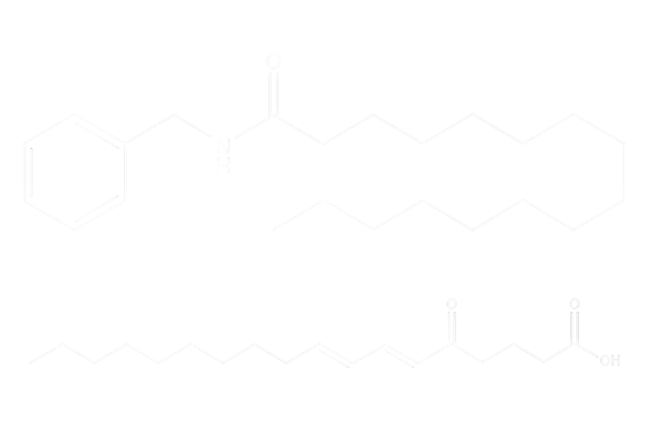 瑪卡烯與瑪卡醯胺是瑪卡的主要活性成分。