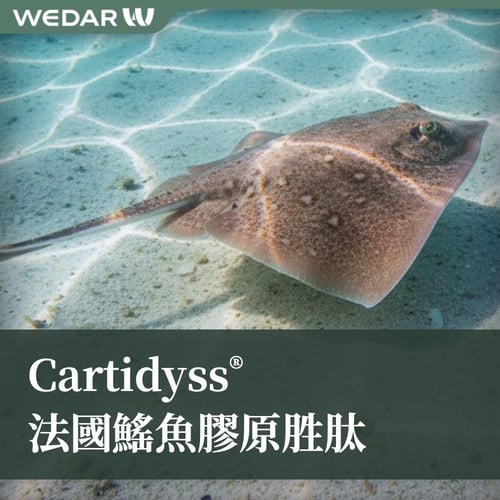 Cartidyss® 法國鰩魚膠原胜肽