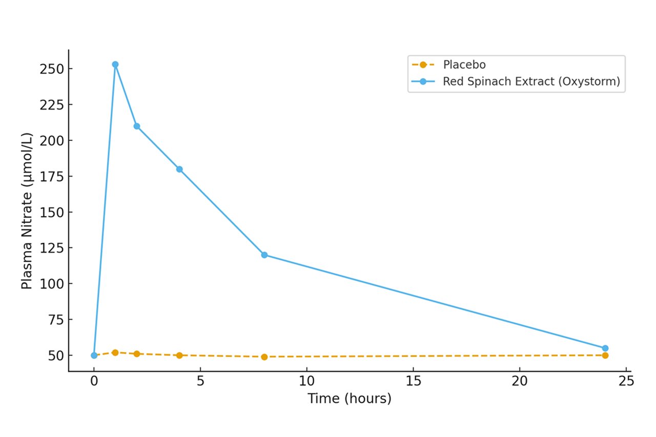 Oxystorm 能夠快速提升血液中的硝酸鹽濃度，而且有效時間長達 8 小時以上。