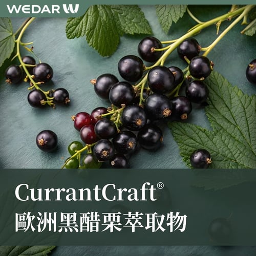 CurrantCraft® 歐洲黑醋栗萃取物